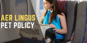 Aer Lingus Pet Policy