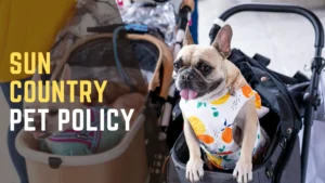 Sun Country Pet Policy
