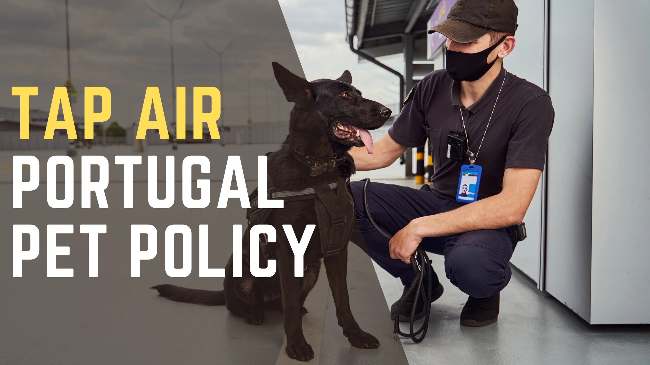 TAP Air Portugal Pet Policy