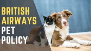 British Airways Pet Policy