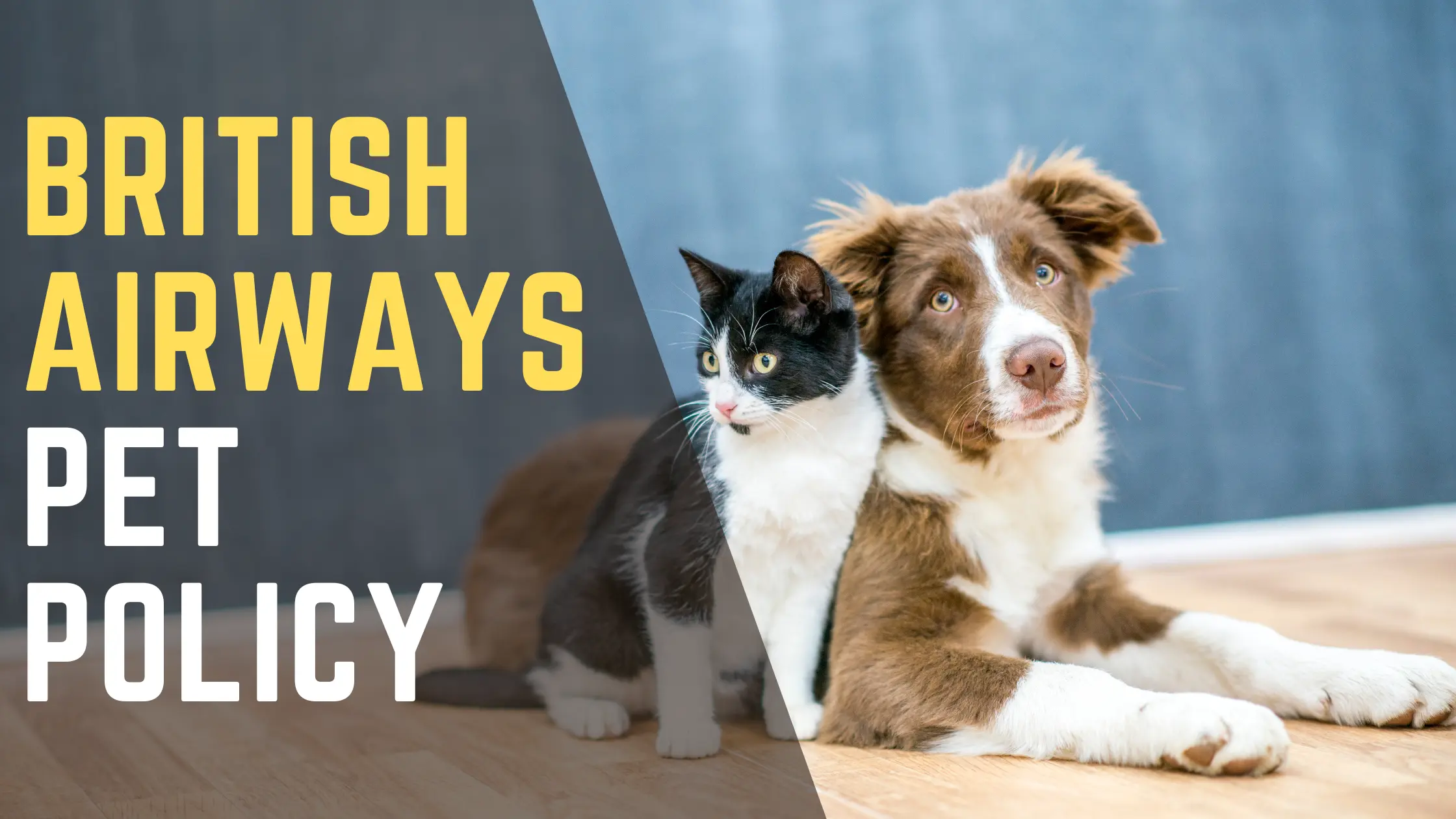 British Airways Pet Policy