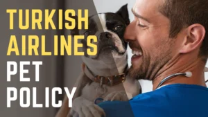 Turkish Airlines Pet Policy