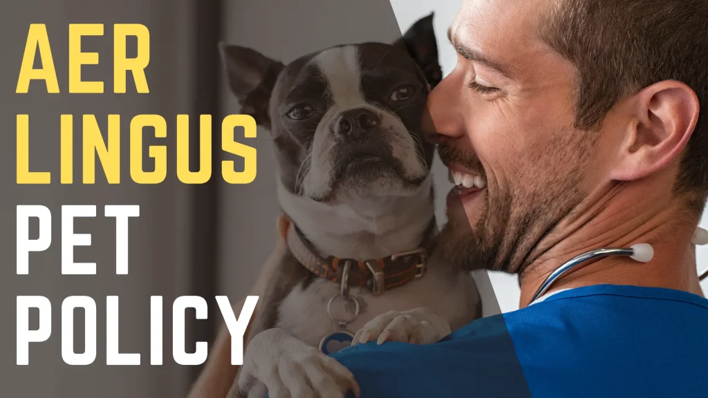 Aer Lingus Pet Policy