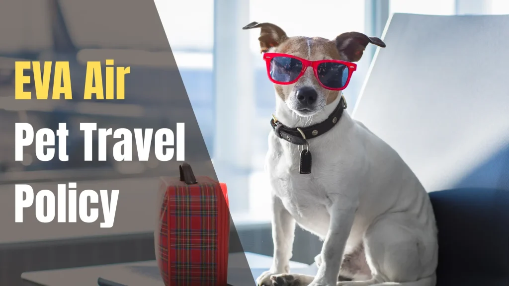 EVA Air Pet Travel Policy
