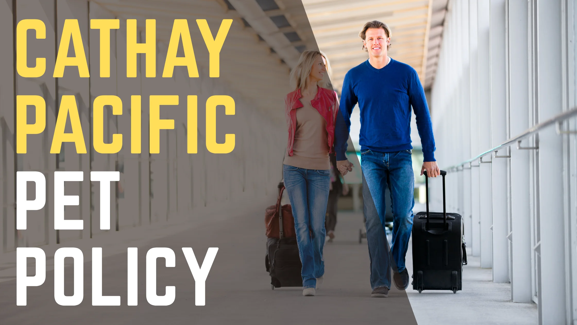 Cathay Pacific Pet Policy