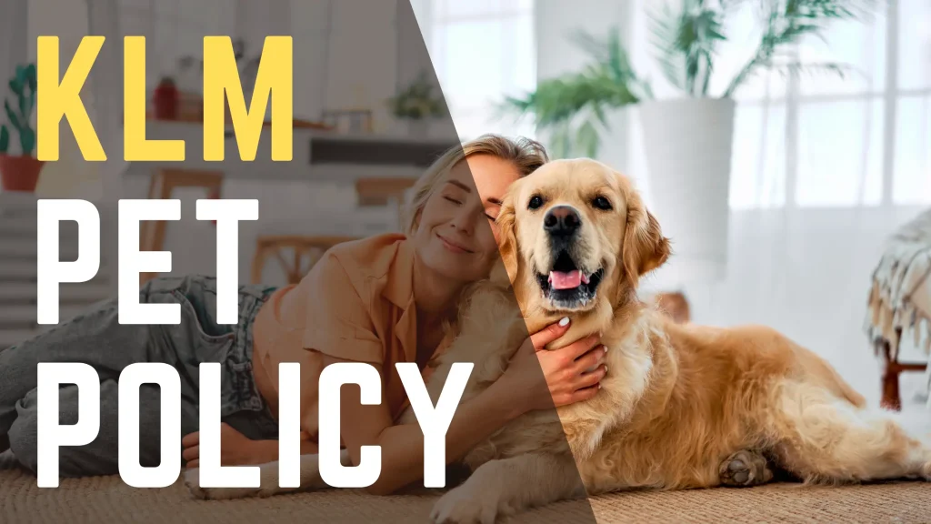 KLM Pet Policy