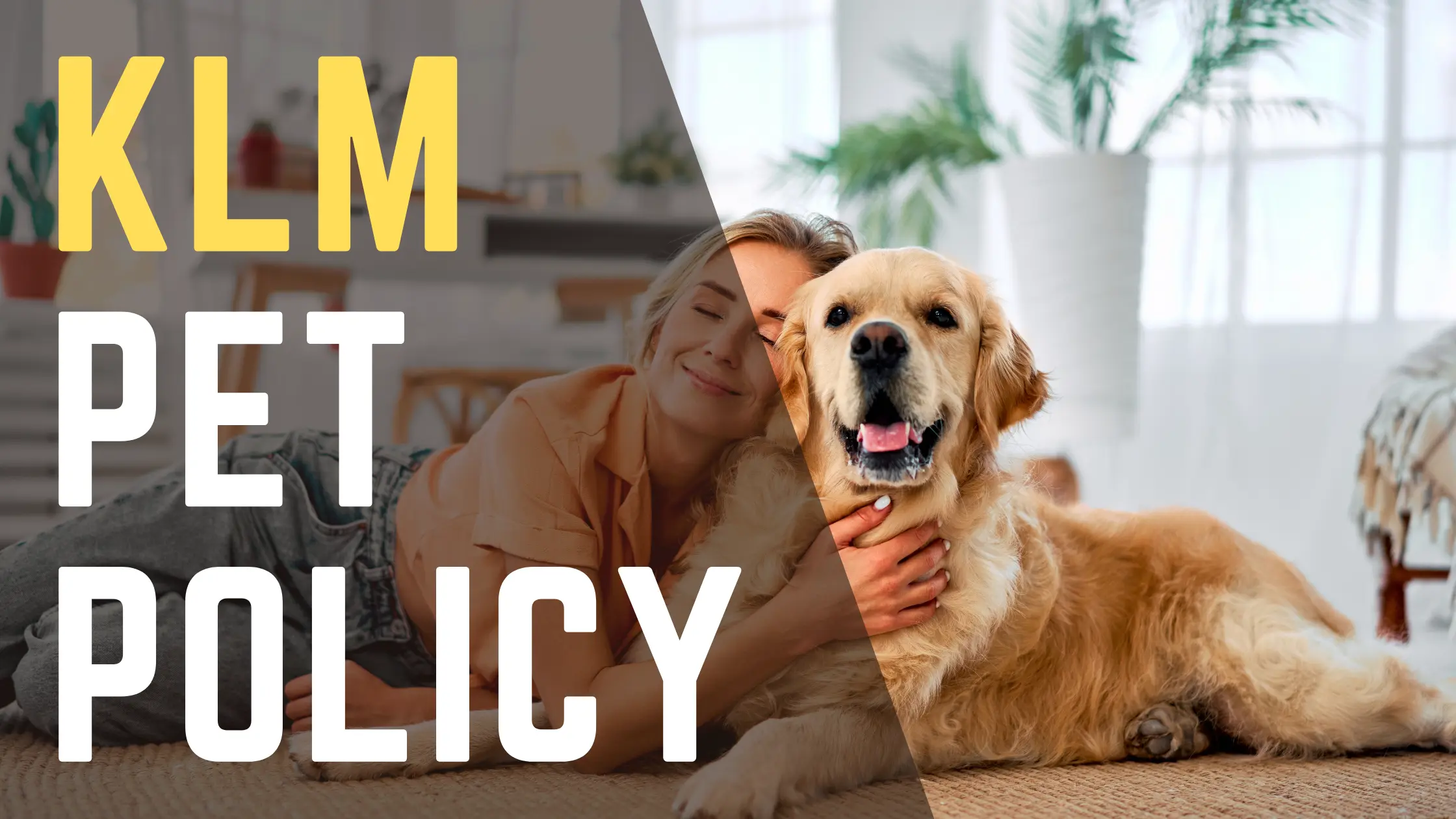 KLM Pet Policy