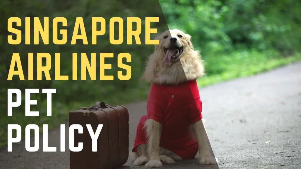 Singapore Airlines Pet Policy