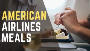 American Airlines Meals