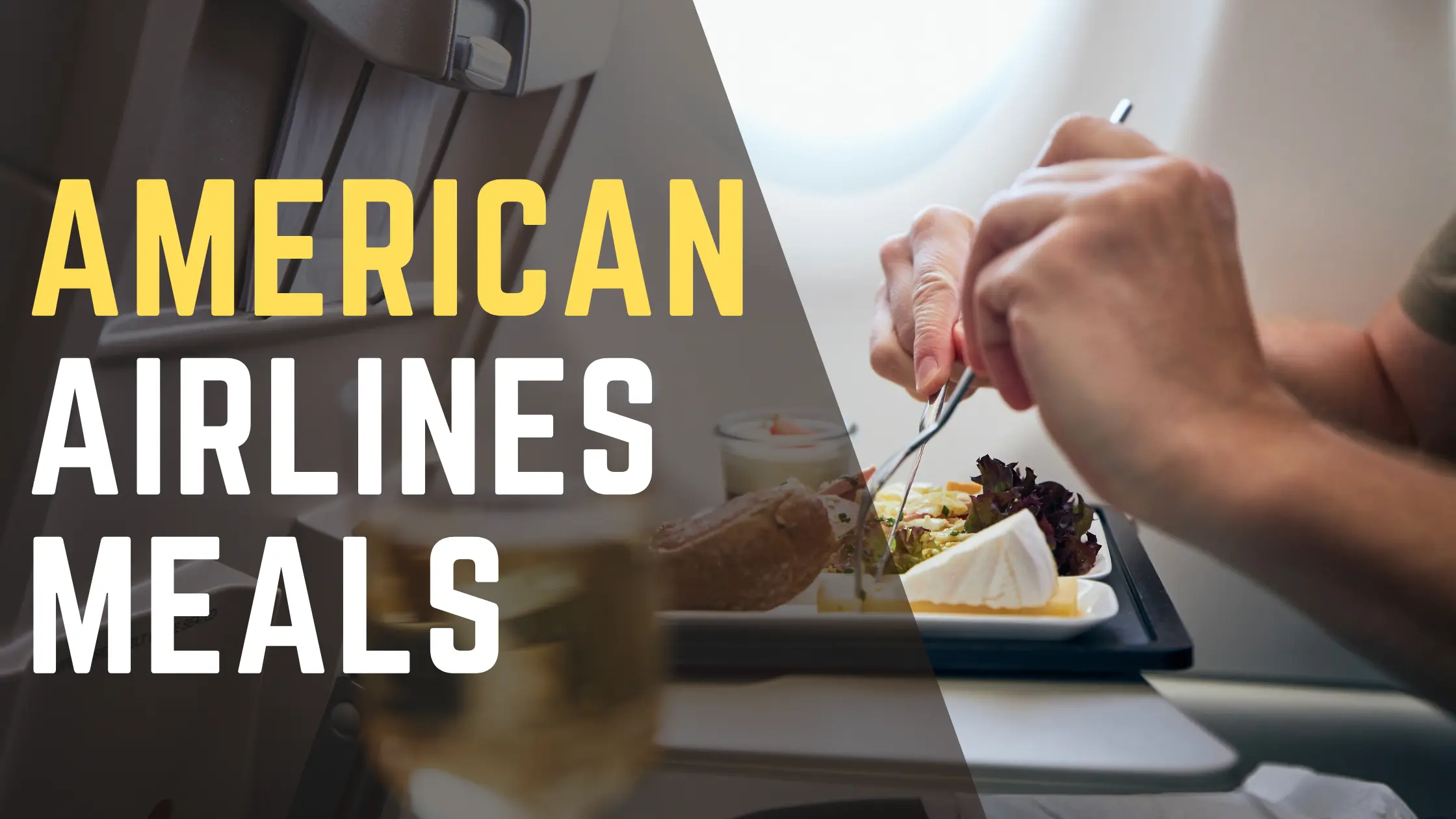 American Airlines Meals