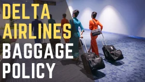 Delta Baggage Policy